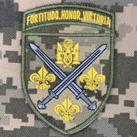 Нарукавний знак 155 ОМБР піксель кольоровий