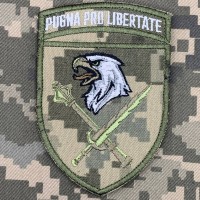 Нарукавний знак 8 Корпус ДШВ Pugna pro libertate піксель
