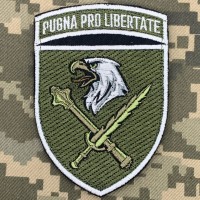 Нарукавний знак 8 Корпус ДШВ Pugna pro libertate польовий