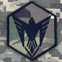 Нарукавний знак 9 ОББС мультикам-чорний