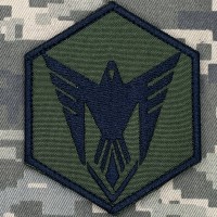 Нарукавний знак 9 ОББС олива-чорний