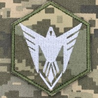 Нарукавний знак 9 ОББС піксель-білий