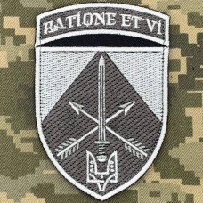 Купить Нарукавний знак ССО сірий в интернет-магазине Каптерка в Киеве и Украине