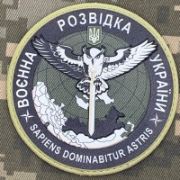 PVC Шеврон Воєнна Розвідка України Знак Сова з мечем олива 3D