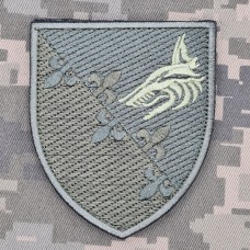 Шеврон 145 Командно-розвідувальний центр морської піхоти олива