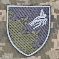 Шеврон 145 Командно-розвідувальний центр морської піхоти польовий