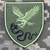 Шеврон 19 Центр ВСП захисний