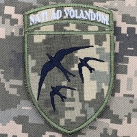 Шеврон 203 навчальна авіаційна бригада Nati Ad Volandum піксель