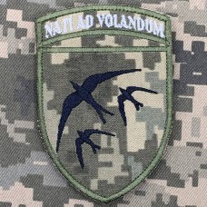 Шеврон 203 навчальна авіаційна бригада Nati Ad Volandum піксель