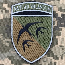 Шеврон 203 навчальна авіаційна бригада Nati Ad Volandum польовий