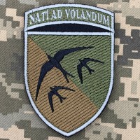 Шеврон 203 навчальна авіаційна бригада Nati Ad Volandum польовий