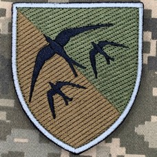 Шеврон 203 навчальна авіаційна бригада польовий