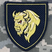 Шеврон 29 ОВМБр