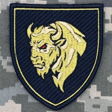 Шеврон 29 ОВМБр