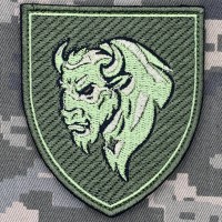 Шеврон 29 ОВМБр польовий