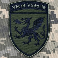 Шеврон 54 ОАБр Олива