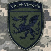 Шеврон 54 ОАБр Олива