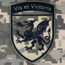 Шеврон 54 ОАБр піксель Шеврон 54 ОАБр піксель