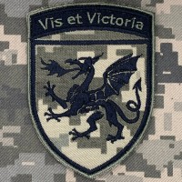 Шеврон 54 ОАБр піксель