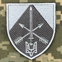 Шеврон ССО сірий