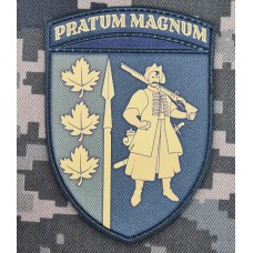 PVC шеврон Нарукавний знак 65 ОМБр олива