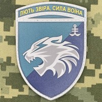 PVC шеврон 1 ОБМП 35 ОБрМП