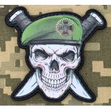 PVC патч ДПСУ Череп в береті