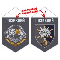 Вимпел Окремий полк зв'язку ССО 