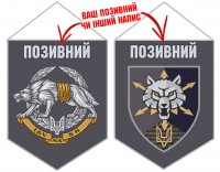 Вимпел Окремий полк зв'язку ССО 