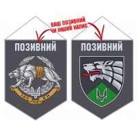 Вимпел 47 Центр ССО