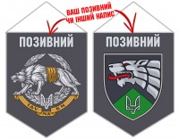 Вимпел 47 Центр ССО