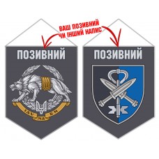Вимпел 77 Центр ССО