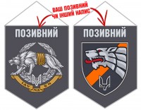 Вимпел 98 Центр ССО