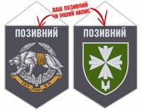 Вимпел 99 окремий батальйон управління та забезпечення ССО ЗСУ Вовкулака