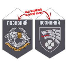 Вимпел Рекрутинг ССО ЗСУ