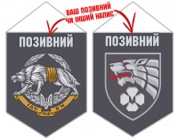 Вимпел Рекрутинг ССО ЗСУ