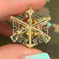 Емблеми на комірець Сили територіальної оборони (пара)