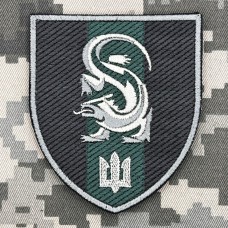 Шеврон 241 навчальний центр морської піхоти олива