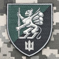 Шеврон 501 ОБМП польовий