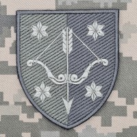 Нарукавний знак 10 армійський корпус Польовий