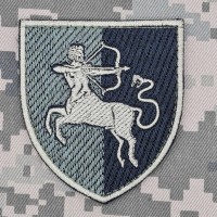 Шеврон 141 окрема піхотна бригада Польовий