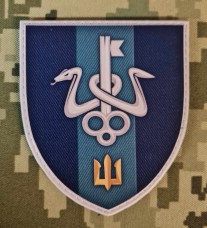 Шеврон Школа морського піхотинця PVC кольоровий варіант