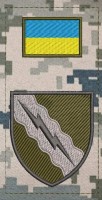 Нарукавна заглушка 19 окремий полк радіо і радіотехнічної розвідки Піксель знак олива
