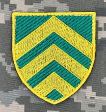 Нарукавний знак Управління по роботі з сержантським складом ЗСУ (кольоровий)