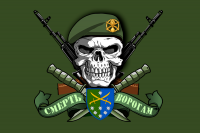 Прапор 142 окрема стрілецька бригада олива Череп в береті