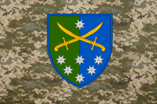 Прапор 142 окрема стрілецька бригада Піксель