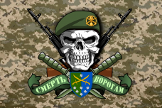 Прапор 142 окрема стрілецька бригада Череп в береті Піксель