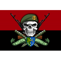 Прапор 142 окрема стрілецька бригада Череп в береті Червоно-чорний