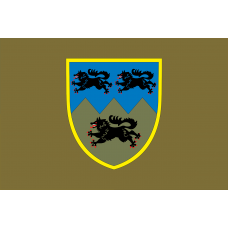 Прапор 33 ОМБр новий знак olive