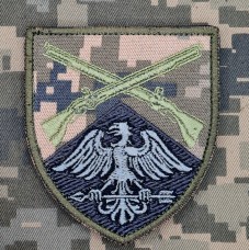 Нарукавний знак 426 ОСБ піксель